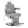 Brijačka stolica Visionerio, siva