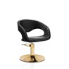 Frizerska stolica GOLD HAIR WAVE