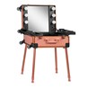 Make up kofer T-27, rozi