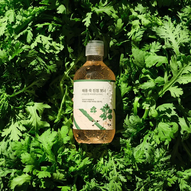 Mugwort Calming Toner, 300 ml