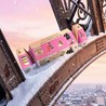 MG Festive Paris -Cracker - Cleansing Ritual